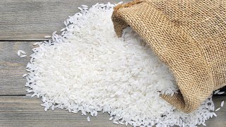 آغاز خرید برنج مرغوب گیلان از هفته آینده توسط بازرگانان